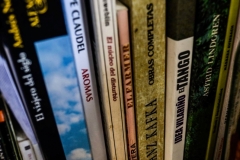 Fotorreportaje a Horacio Cavallo- Diciembre 2015 Foto Paola Scagliotti www.cooltivarte.com