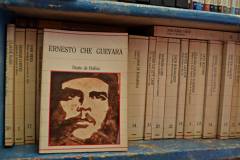 Fotorreportaje a Isabel de la Fuente - Abril 2016 - Fotos © Paola Scagliotti www.cooltivarte.com