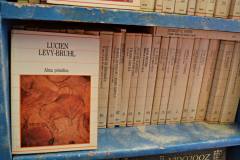 Fotorreportaje a Isabel de la Fuente - Abril 2016 - Fotos © Paola Scagliotti www.cooltivarte.com