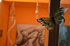 Fotorreportaje a Isabel de la Fuente - Abril 2016 - Fotos © Paola Scagliotti www.cooltivarte.com