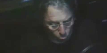 Luis Bravo "Función vocálica, 4 elementos
