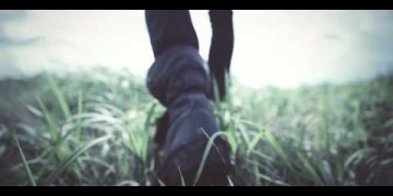 The Beginning - ONE OK ROCK