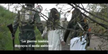 Audiovisual para CONTA EN CORTO 2012 tema “Cuidado del Medio Ambiente”