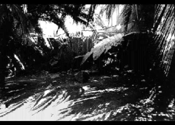 Luis Bravo, "Cacería"