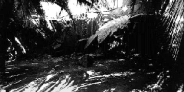 Luis Bravo, "Cacería"