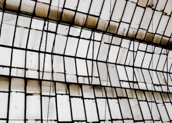 Fotografía: Guillermo Sierra