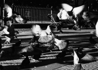 Foto Mercedes Xavier Foto Mercedes Xavier