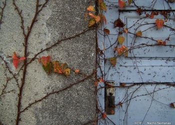 Imágenes de hoy. Entrevista a Nacho Seimanas