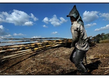 Motivar la reflexión, entrevista a Federico Gutiérrez