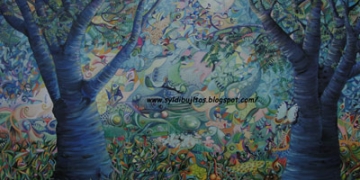 Una mirada que cree, entrevista a Sylvana Lobato