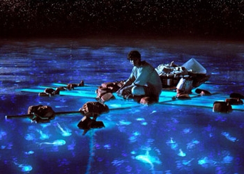 Life-of-Pi Imagen: http://ojosabiertos.otroscines.com/