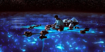 Life-of-Pi Imagen: http://ojosabiertos.otroscines.com/