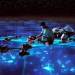 Life-of-Pi Imagen: http://ojosabiertos.otroscines.com/