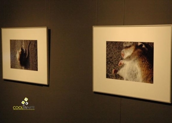 imagen - Los caídos - Javier Tuana - Julio 2009 © Federico Meneses