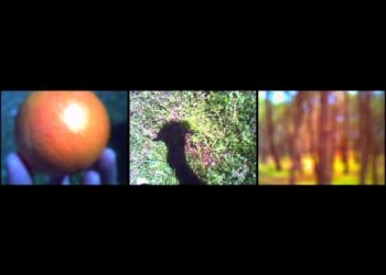 Pulsión – Diego Drexler