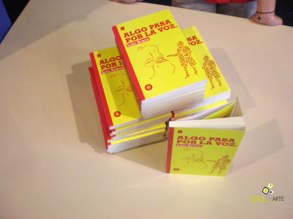 Alianza Francesa Montevideo - 11 de Noviembre de 2008 - Fotos recuperadas de una vieja cámara compacta © Federico Meneses