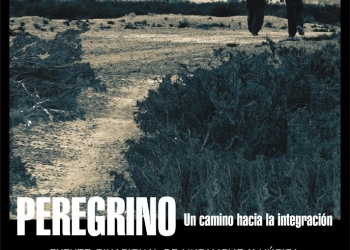 imagen - Peregrino un camino hacia la integracion