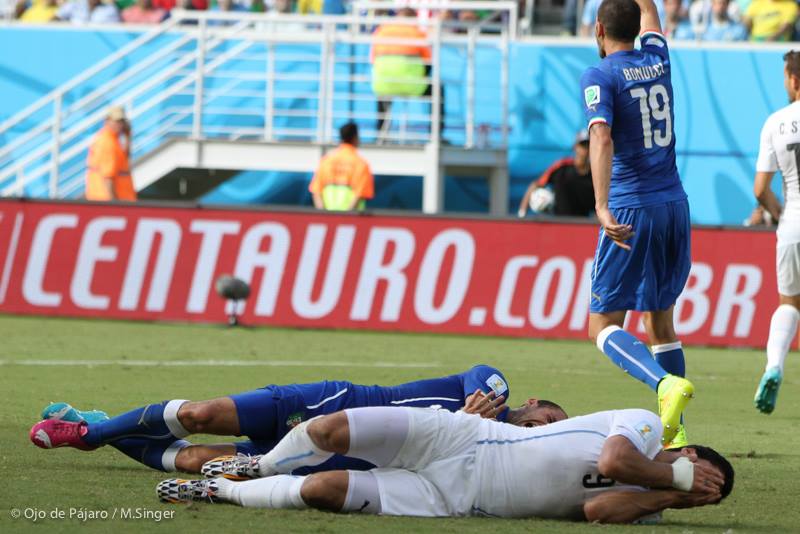 Luis Suárez - Chiellini - Foto Pájaro Singer Imagen - Luis Suárez - Chiellini - Foto Pájaro Singer