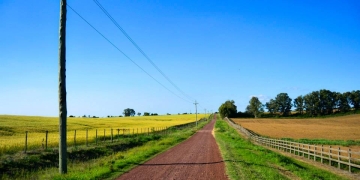 imagen - carretera interior del Uruguay -foto: Daniela Hernández