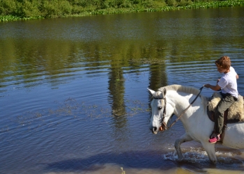 imagen - Estancia El Ceibo Foto: Daniel Benoit