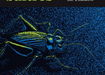 imagen - Canciones de una noche de verano