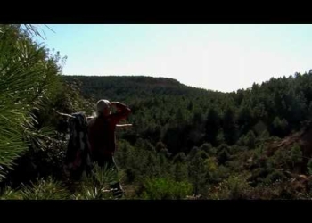 Flaco Barral Perro Flaco