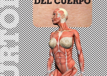 imagen - La novela del cuerpo