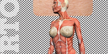 imagen - La novela del cuerpo