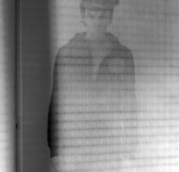 imagen .- Retrato de un monstruo