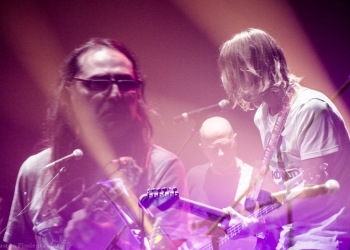 imagen - ALBERTO WOLF & LOS TERAPEUTAS foto Gastón Pimienta