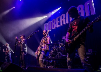 imagen - doberman foto javier rivero