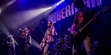 imagen - doberman foto javier rivero