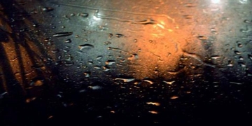 Lanzamiento del Compilado de Música Independiente “Los Últimos Árboles”