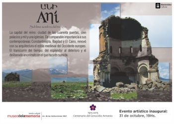 ANI SUBLIME SOMBRA DEL TIEMPO