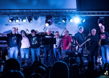 Sui-Magens-y-Flowers--noviembre-2015--colonia-Fotos-Daniela-Hernández-Fotografía