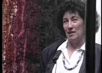 Lacy Duarte en el monitor plástico: 1994/2006