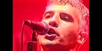 buitres en vivo en las canteras del Parque Rodó