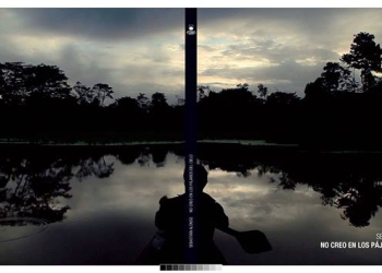 “No creo en los pájaros del cielo” de Sebastián Alonso