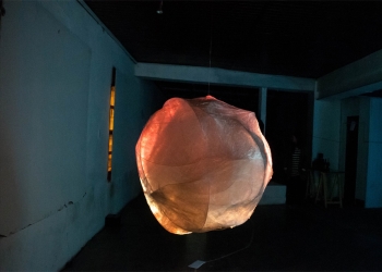 foto de Ignacio Veliovich, pera de goma