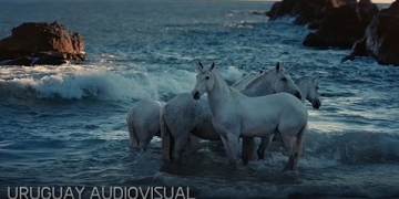 URUGUAY AUDIOVISUAL