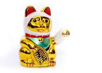 Astori-neko--javier abreu