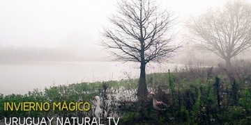 EL MÁGICO INVIERNO