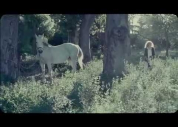 Ana Prada – Adiós