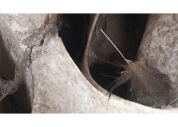 Juego de muñecas jacqueline lacasa