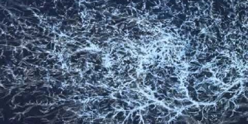 mux – mux (album 2016)