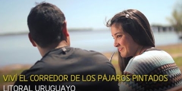 Río de los pájaros pintados