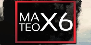 Mateo x 6