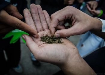 Marcha Mundial de la Marihuana - Uruguay, 08/05/2013-foto-carlos-lebrato