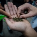 Marcha Mundial de la Marihuana - Uruguay, 08/05/2013-foto-carlos-lebrato
