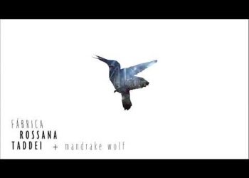 ROSSANA TADDEI adelanta la salida de su nuevo álbum CUERPO ELÉCTRICO, estrenando la canción «FÁBRICA» junto a Mandrake Wolf.